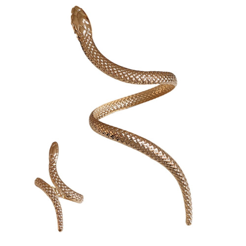 Gotische slangenarmband en ringenset