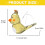 Coloured Drawing Water Bird Whistle For Kid Early Learning 3