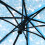 Parapluie coréen pliable transparent à fleurs de cerisier 4