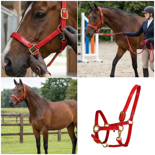 Leather Horse Bridle Headstall With Rusts Resistant-Blue L 2