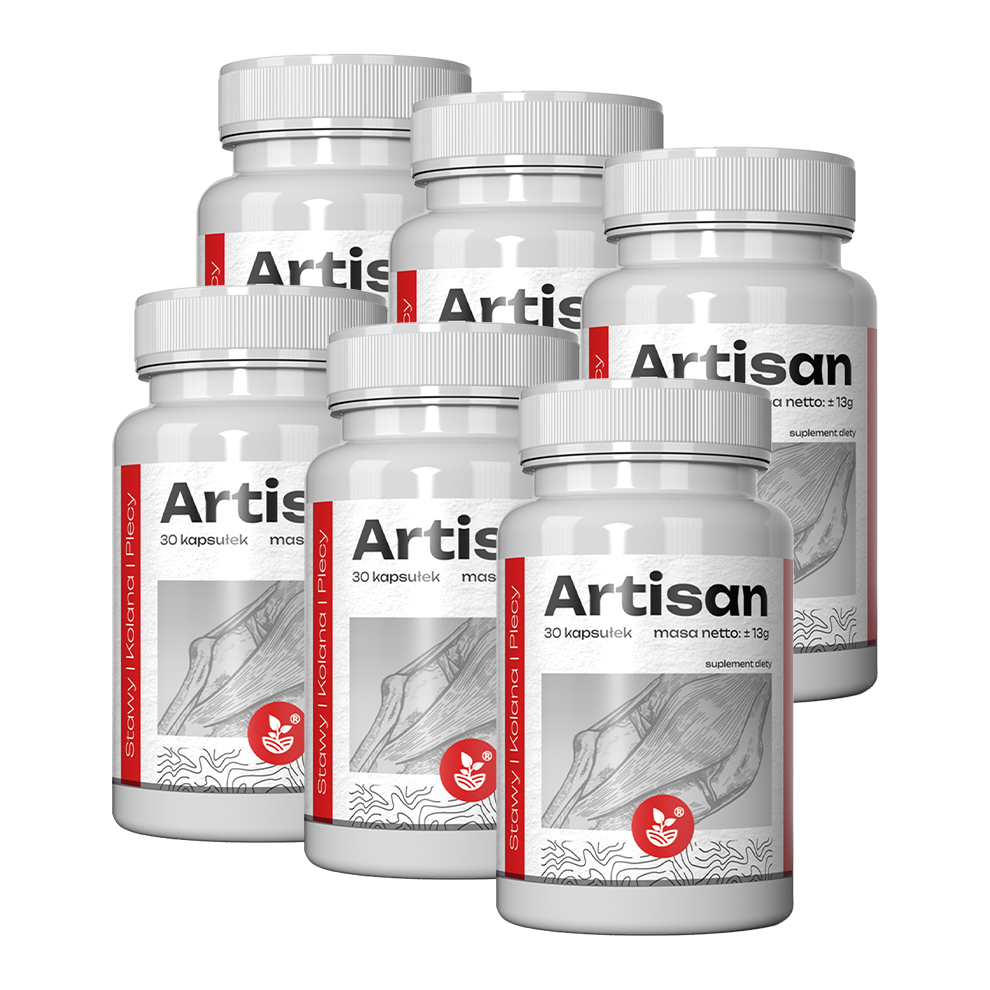 Artisan joint support 180 capsules
