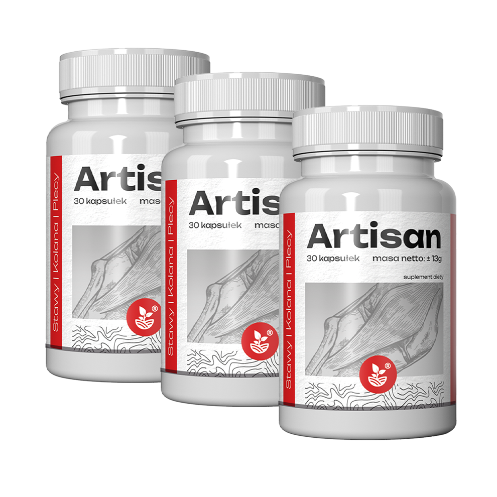 Artisan joint support 90 capsules