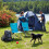 Folding Tourist Chair, Blue, Compact and Portable 2