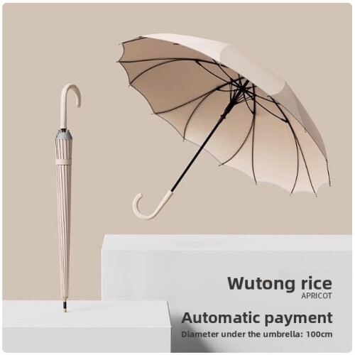 Umbrelă automată cu mâner lung, ramă dublă, 1