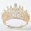 Rhinestone-tiarahodeplagg til kvinner – 1 stk. 4
