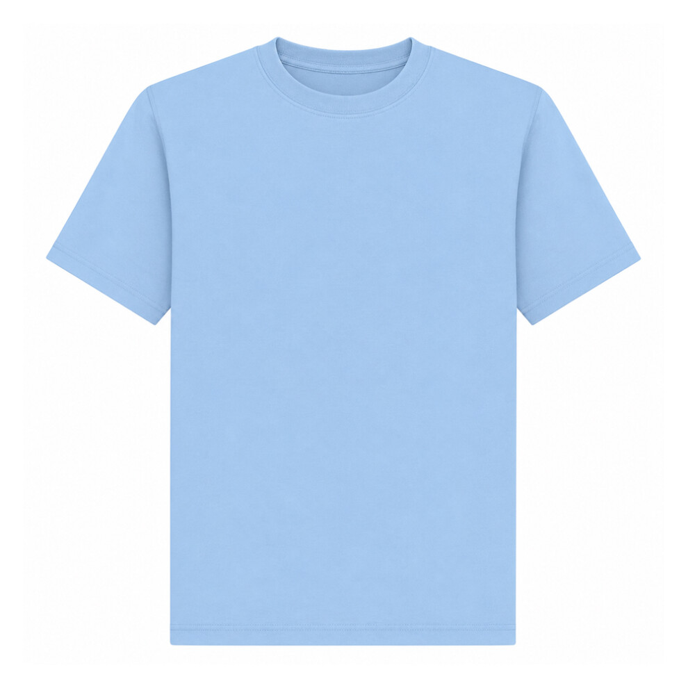 Fruit Of The Loom (3Xl, Sky ) Mens Original Short Sleeve T-Shirt Blue