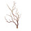 Décoration d'œufs de Pâques : brindilles et branches (1 lot) 2