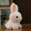Peluche Lapin Blanc Doux et Câlin Petit 2