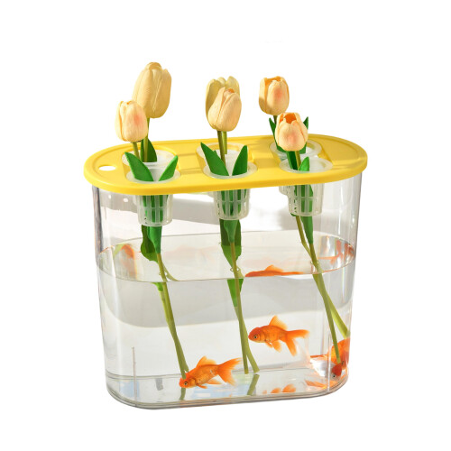 Functional Clear Hydroponic Box Facilitating Plant-Yellow 1