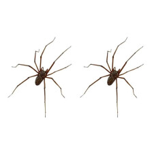 Riesenspinne Ohrringe Halloween 3D Dekoration 2 Stück