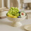White Pedestal Fruit Bowl – Modern Kitchen Counter Bowl 5