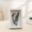 Shadow Box Frame 6x4 inch for photos keepsakes medals 7