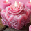Moules en Silicone en forme de fleur de Rose en relief,-Style A 7
