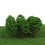 Model Train Trees 1:150 Scale Assorted 40PC 2