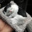 Mini jouet pour chat endormi avec miaulement 4