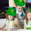 Grøn fløjls tophat til St. Patricks Day 5