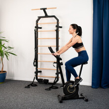Magnetische hometrainer, verstelbare weerstand, zwart