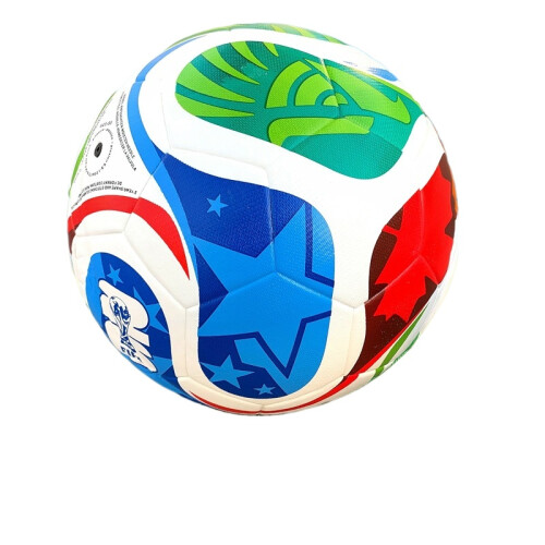 FIFA World Cup football, training ball