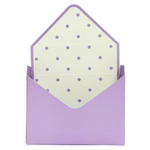 Caixa Envelope para o Dia dos Namorados – Caixa de Embrulho com Flores Vermelhas