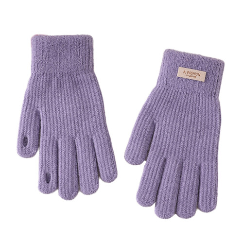 Gevoerde touchscreenhandschoenen voor dames - Paars, antislip, winter
