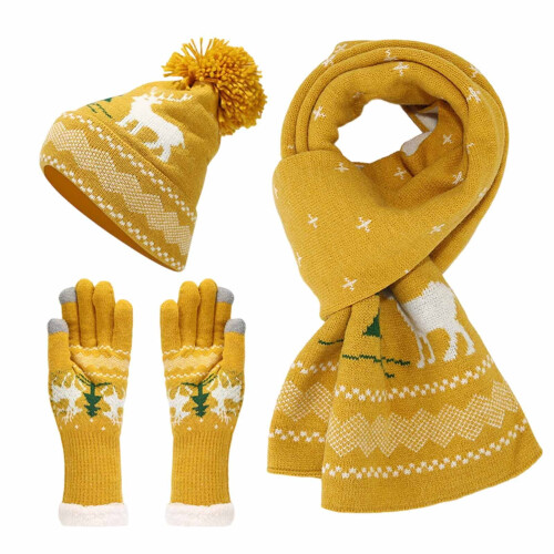 Ensemble bonnet, écharpe et moufles tactiles en maille pour temps froid 1