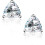 CZ Stud Earrings 18K White Gold Plated Sterling Silver 1