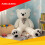 Urso de pelúcia de 140 cm, creme, com laço. 6