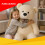Urso de pelúcia de 140 cm, creme, com laço. 7