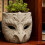 Multi Purpose Silicone Bird Mask Mold Crafting Decorative 5