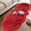 Red plush bedroom rug extra large 5
