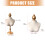 Velvety Jewelry Display Stand Versatile Length-Shortstyle 3