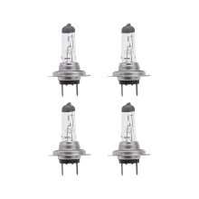 4X Auto Gluehbirne Kopf Lampe H7 (477/499) 12V 55W PX26D Halogenlampe Xenon