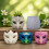 Decorative Silicone Bird Face Planter Mold Resin Casting Kit DIY 7