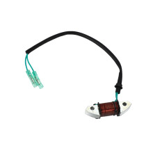 Beleuchtungsspule Passend für Yamaha C30 25-30 PS 2T AußEnbordmotor 1993-2012 61N-81313-09-00 Bootsmotor