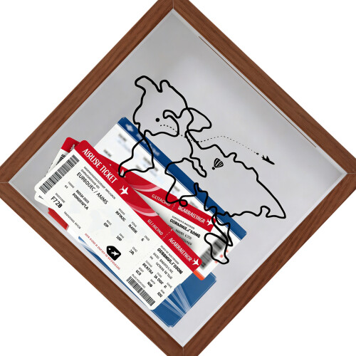 Adjustable 20cm Square Frame To Protect And Display-WC