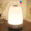Touch Wake Up Night Light with Sunrise Simulation Alarm Clock 1