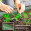 Outsunny Jardinera Exterior Verde 150 x 62 x 30 cm 6