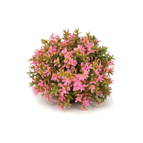 Biorb biOrb Pink Topiary Ball Aquarium Decoration