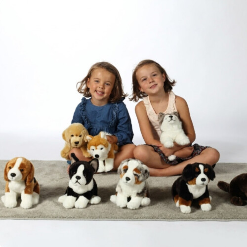 Realistic Husky Dog Plush - Sitting,25 cm 2