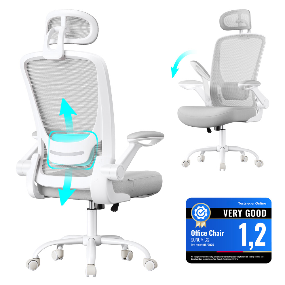 Songmics (Dove Grey) Office Chair, Ergonomic Mesh Chair With Mesh Back For Desk, Foldable Armrests