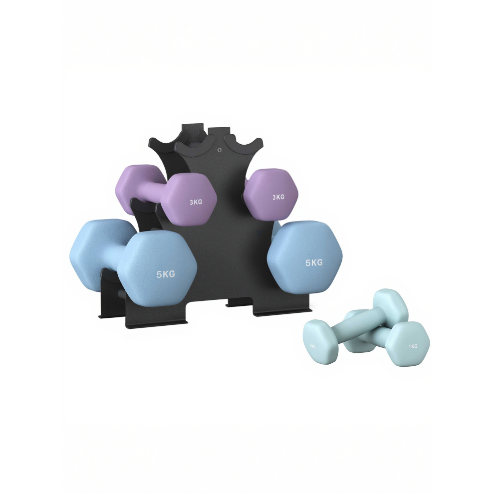 Songmics (Aqua, Ash Purple, Pale Blue) Hex Dumbbells Set With Stand - 2 X 1 Kg, 2 X 3 Kg, 2 X 5 Kg, Neoprene Coating, Home Fitness, Grey, Green