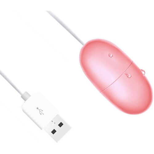 Waterproof Bullet Egg Massager with Multi-Speed Vibration & USB Rechargeable Design