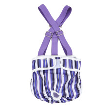 Secure Dog Diaper for Active Female Pet-purple. stripes XS
