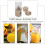 Compact Beige Electric Orange Juice Extractor with Pulp Separator 5