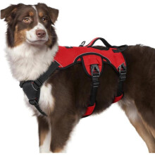 rabbitgoo Harnais pour Chien avec Poignée de Levage Harnais Réglables pour Animaux de Comp