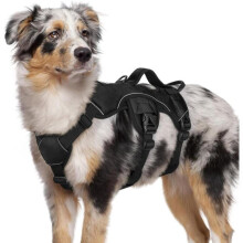 Coleira peitoral Rabbitgoo para cães com alça de elevação, ajustável para animais de estimação.