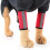 Pet Knee Protector Dog Surgery Injury Protective Cover, Size: S(Red Reflection) 1