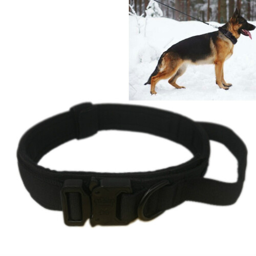 Thickened nylon medium to large size dog leash collar, size: L (black)