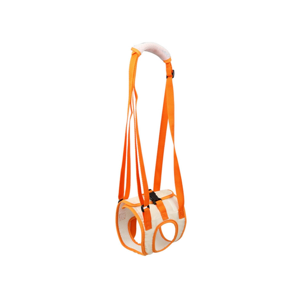 Pet Leash Assistive Belt For Postoperative Disabled Elderly Dogs Hind Legs M