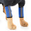 Pet Knee Protector Dog Surgery Injury Protective Cover, Size: S(Blue Reflection) 1